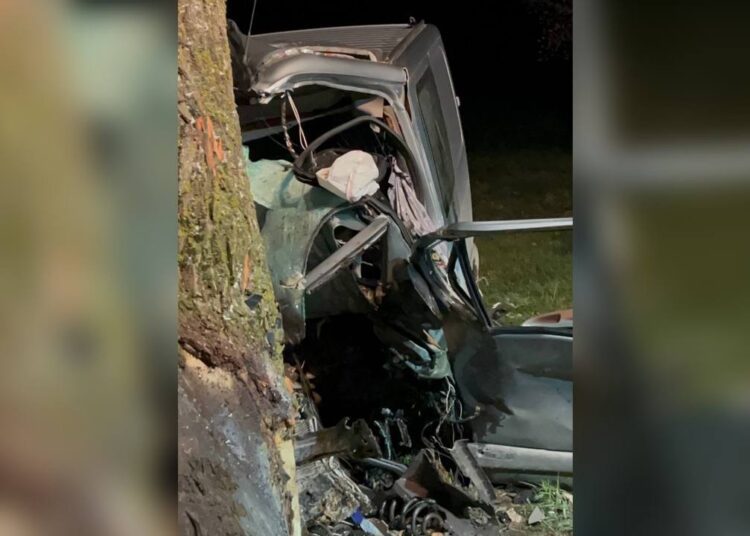 VIDEO // Un tânăr de 20 de ani și-a pierdut viața într-un accident la Sadovoe