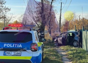 VIDEO | FOTO // Un șofer s-a izbit cu mașina într-un copac, la Pelinia. Era cât pe ce să intre într-o gospodărie